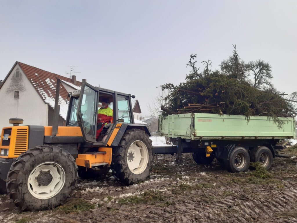 Baumfällungen vom Experten im Landkreis Heidenheim