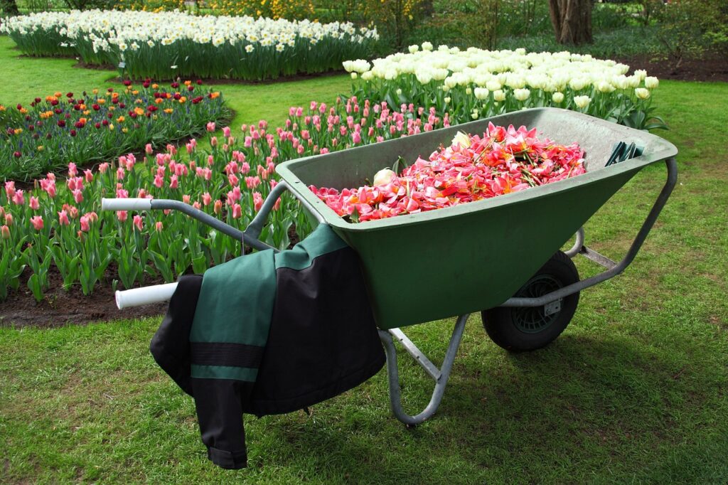 Bühler Bolheim lässt Gartenträume wahr werden - Garten und Landschaftsbau Herbrechtingen